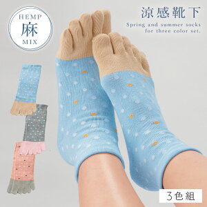   5{w\bNX C fB[X  y3Fgz ܖ{w 22-25cm t hbg  킢 y SȂ ݂ȗSnz 邢  S ߕtȂ 