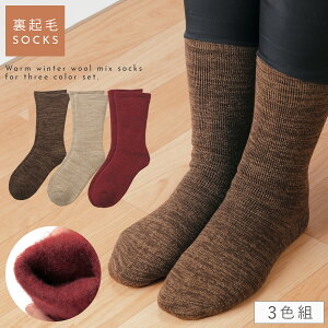   C fB[X ~ g y3Fgz 22-25cm N h ~p H~   y SȂ ݂ȗSn z   S ߕtȂ ނ 