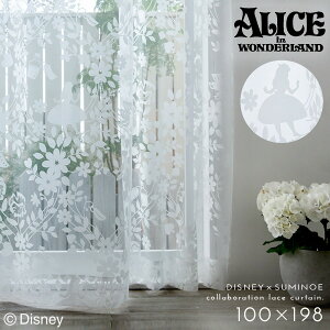 svc̍̃AX fBYj[ J[e [X 100×198cm [XJ[e k CeA AX XEB[gt[{C 1 { 􂦂  X~mG SUMINOE ԕis ԕis