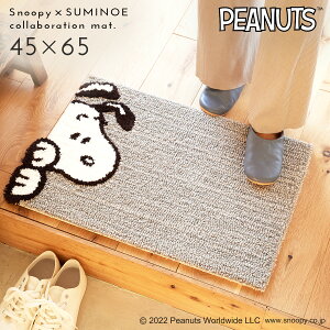 Xk[s[ փ}bg 45×65cm O k CeA  s[ibc `}bg ~ h_j { X~mG SUMINOE ԕis ԕis