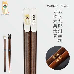   23.0cm l j  k 킢  { VČ  lp l Ƒ  Č ObY  Aj} VR ؐ Ƒ vw e Mtg v[g 蕨 j