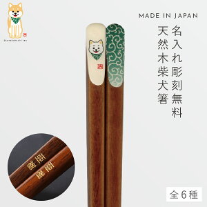    23cm ObY Č  킢  VR ؐ  ׂ { ČV픢