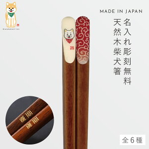    23cm ObY Č  킢  VR ؐ  ׂ { ČV픢