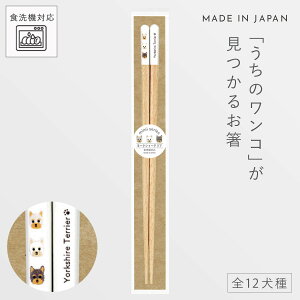    H@Ή 23cm  킢  VR  { ׂ~ ؐ mimi