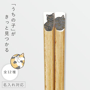  22.5cm  L ˂  킢 O v[g l LObY { VR jjCg