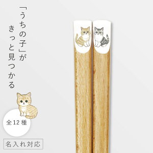  22.5cm  L ˂  킢 O v[g l LObY { VR ɂ񂫂픢