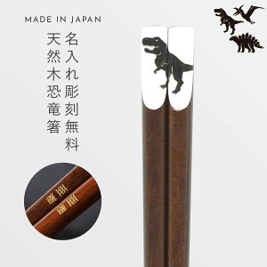    23cm  O v[g l q qǂ j̎q LbY  G ObY Dinosaurs