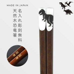    23cm  O v[g l q qǂ j̎q LbY  G ObY Dinosaurs