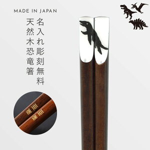    23cm  O v[g l q qǂ j̎q LbY  G ObY Dinosaurs