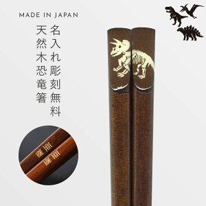    18cm  O v[g q qǂ j̎q LbY  G ObY Fossil