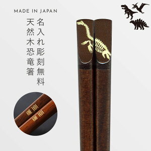    18cm  O v[g q qǂ j̎q LbY  G ObY Fossil