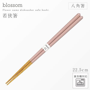  H@Ή p 22.5cm p` ዷ  { ɓ p̔ ubT  A[XJ[ ݃J[ Jt 킢 VR ƒp lp jp p  M