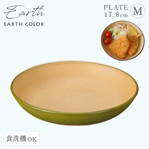 v[g EARTHCOLORV[Y 18cm M RۉH M WΉ H@Ή ؖ Ȃ y k X^bLO A[XJ[ H M ی^ Ehv[g P[LM  