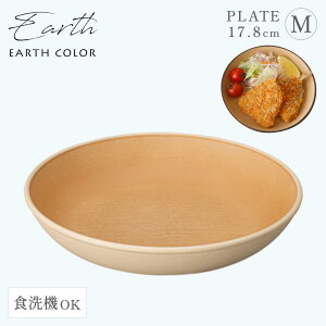 v[g EARTHCOLORV[Y 18cm M RۉH M WΉ H@Ή ؖ Ȃ y k X^bLO A[XJ[ H M ی^ Ehv[g P[LM  