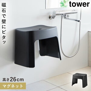 􂢂₷}OlbgCCX ^[ SH26 R tower CCX 26cm C ֎q JrȂ CX }Olbg oX[ C  mg[ zCg ubN 1651 1652