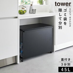 S~ S 45l Lb`  LX^[ ӂt ډB tower ^[ R ybg{g  WtډBʃ_XgS ^[45L 3