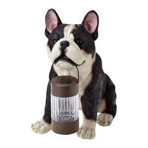 \[[Cg K[fCg   AeB[N IuWF  O led O hJ _ h \[[I[ig ~j`AViEU[ t`uhbO