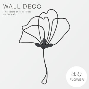 EH[fR EH[A[g  Ǌ| A[g ؍ k CeA G Ǐ  EH[fR t[