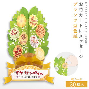 񂹏 F  l \ V[ ЂƂ J[h bZ[WJ[h Ǝ  ʂ ސE ] ʉ bZ[W Mtg v[g TvCY Cxg bZ[Wvc