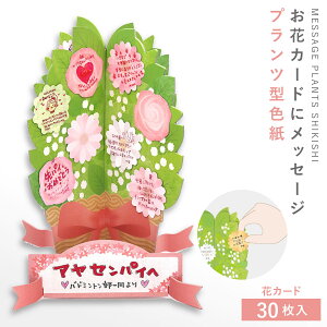 񂹏 F  l \ V[ ЂƂ J[h bZ[WJ[h Ǝ  ʂ ސE ] ʉ bZ[W Mtg v[g TvCY Cxg bZ[Wvc