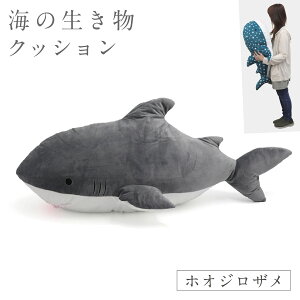  ʂ  傫 CJ V` T C̐ G 킢 ӂӂ NbV rbOTCY BIG NbV`C̐`