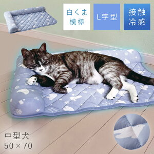 ybgxbh 60 Ђ 􂦂 ėp N[ ybgp \t@xbh p^ ybgxbh   Ck  L lR ˂ ^ t  Ђ ₽ ߂ ڐG⊴ p Lp 