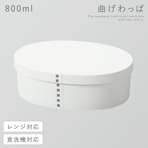 y10OFFzٓ jq e 1i  ٓ 800ml {  Ȃ mg[ iٓ  H@Ή WΉ i ٓ ٓ ٓ Y j w   