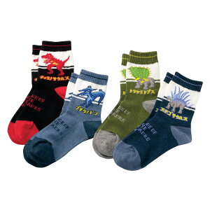 C q LbY 4g 16-20cm 20-24cm j̎q  ObY eBmTEX XeSTEX gPgvX vemh D w V[g { O jq {[CY 