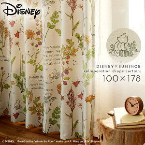 ܂̃v[ fBYj[ Ռ J[e 100×178cm ՌJ[e k CeA v[ ttY h[v 1 { 􂦂  `LH X~mG SUMINOE ԕis ԕis