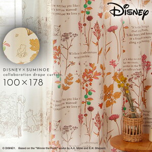 ܂̃v[ fBYj[ Ռ J[e 100×178cm ՌJ[e k CeA v[ ttY h[v 1 { 􂦂  `LH X~mG SUMINOE ԕis ԕis