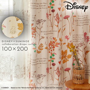 ܂̃v[ fBYj[ Ռ J[e 100×200cm ՌJ[e k CeA v[ ttY h[v 1 { 􂦂  `LH X~mG SUMINOE ԕis ԕis