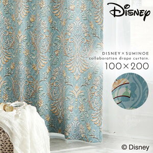 Ɩb fBYj[ Ռ J[e 100×200cm ՌJ[e k CeA vZX NVbNr[eB[ h[v 1 { 􂦂  `LH X~mG SUMINOE ԕis