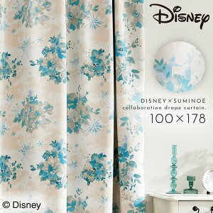 AiƐ̏ J[e fBYj[ Ռ 100×178cm fBYj[vZX Ai GT It ObY k CeA t[Y ACXu[ ԕis ԕis