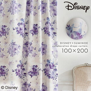 AiƐ̏ J[e fBYj[ Ռ 100×200cm fBYj[vZX Ai GT It ObY k CeA t[Y ACXu[ ԕis ԕis