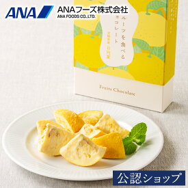 【A配送】ANAフーズ フルーツを食べるチョコレート 日向夏 フルーツ 果物 ヘルシー 常温 お菓子 チョコレート 食べ物 プチギフト プレゼント 内祝い おしゃれ スイーツ お返し かわいい 新婚 入学 新築 父の日 お中元 夏ギフト 高級 ギフト 詰め合わせ