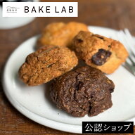 【C配送】【米粉専門BAKE LAB】玄米スコーンセット 4種8個入り 玄米 スコーン 詰め合わせ 星製粉所 贈り…