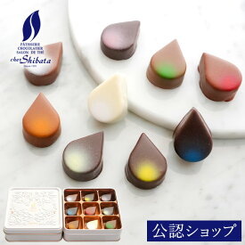 【A配送】シェ・シバタ アロマ 手土産 お返し 出産 結婚 職場 ご褒美 贅沢 高級 プレゼント ギフト スイーツ シェ シバタ チョコレート 子供 小分け 送料無料 チョコ お菓子 かわいい プチギフト おしゃれ