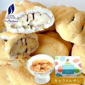 【A配送】シェ・シバタ ペカンナッツショコラ（キャラメルサレ） 手土産 お返し 会社 ご褒美 高級 プレゼント お菓子 ギフト スイーツ シェ シバタ お返し チョコレート かわいい プチギフト 人気 バレンタイン 2026 義理 本命 子供