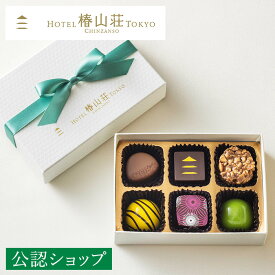 【A配送】椿山荘 ホテル椿山荘東京 6個入チョコレート プレゼント チョコレート チョコ 詰め合わせ バレンタイン 手土産 ギフト お礼 おしゃれ 送料無料 バレンタインチョコ 義理 子供 本命 送料無料 2026 プチギフト