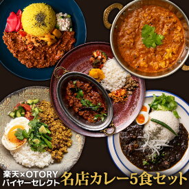 スパイスカレー厳選 5食セット【C配送】 冷凍カレー スパイス kikuchi curry アチャカナ イーカスーク 小さかった女 シバカリーワラ 無水 チキンカレー 父の日 ギフト プレゼント 食べ物 御中元