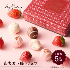 【A配送】ラ・メゾン白金 あまおう苺トリュフ プレゼント ギフト スイーツ お菓子 詰め合わせ 洋菓子 ケーキ 贈り物 手土産 個包装 お祝い お返し チョコ フィナンシェ 食べ物 ブランド バレンタイン チョコレート 義理 本命 子供 義理 和風