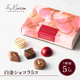【A配送】ラ・メゾン白金 白金ショコラ5コ プレゼント ギフト スイーツ お菓子 詰め合わせ 洋菓子 ケーキ 贈り物 手土産 個包装 お祝い お返し チョコ フィナンシェ 食べ物 ブランド バレンタイン チョコ 2026 本命 義理 プチギフト