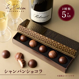 【A配送】ラ・メゾン白金 シャンパンショコラ プレゼント ギフト スイーツ お菓子 詰め合わせ 洋菓子 ケーキ 贈り物 手土産 個包装 お祝い お返し チョコ フィナンシェ バレンタイン 2026 本命 義理 プチギフト おしゃれ バレンタインチョコ
