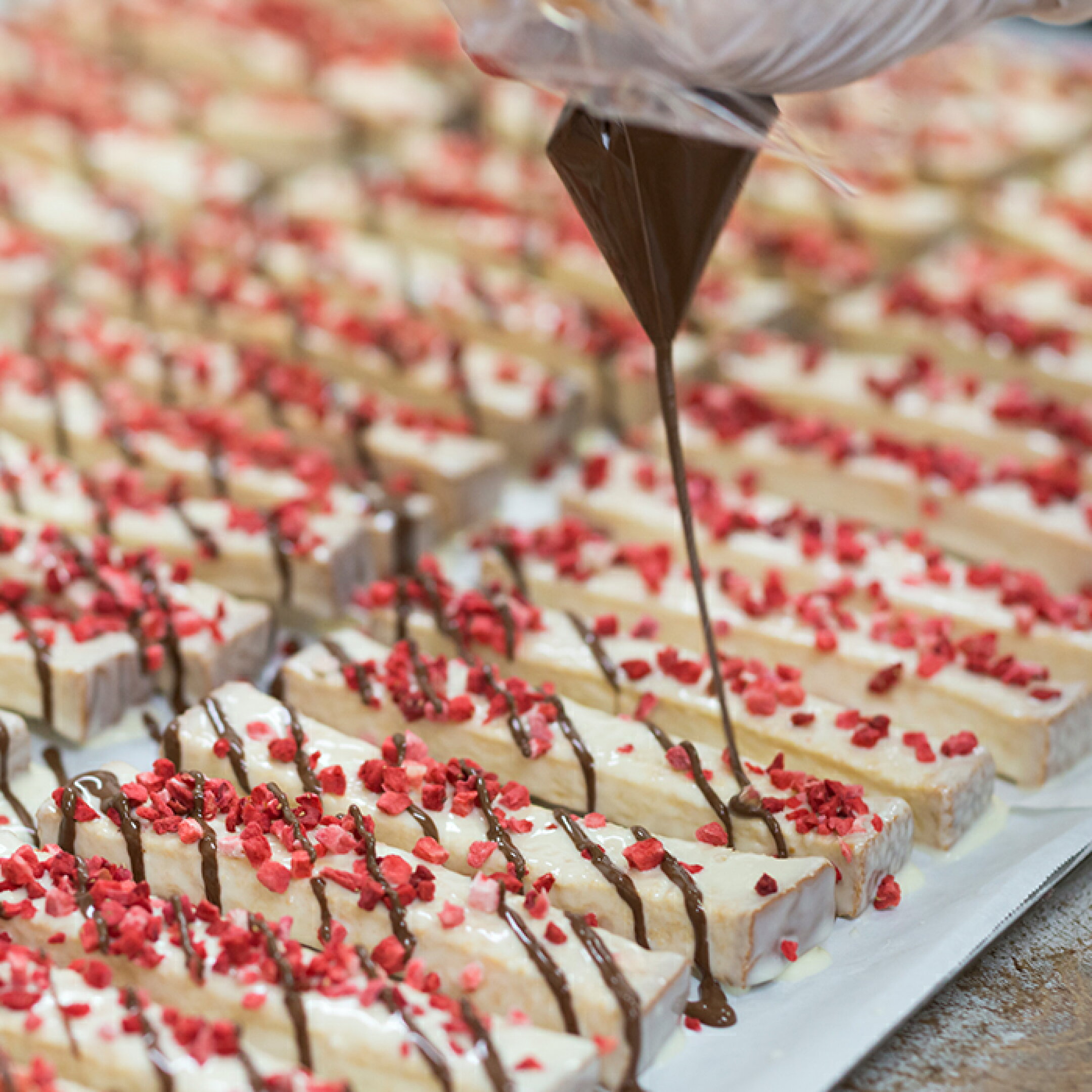 スティックラスク ショコラ10本入 3,600円(送料無料)