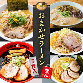 【C配送】本格ラーメン福袋 5食入 冷凍 お取り寄せ グルメ 麺とスープのセット ラーメン 拉麺 らーめん 具材付き 有名店 冷凍 醤油 豚骨 塩 味噌 魚介系 スタミナ系 冷凍 本格