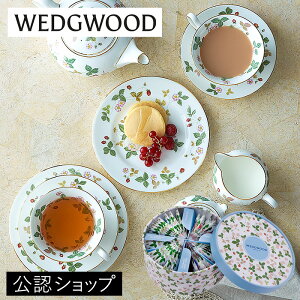 y@lΉ/Zl\/uhVbp[tzWEDGWOOD EFbWEbh ChXgx[eB[obO36P 퉷 Mtg   g v`Mtg j j 