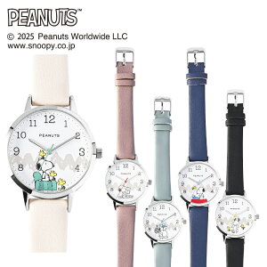 Xk[s[ JWAU[EHb`Y IV PNT054 PEANUTS 킢 rv fB[X D] EHb` v AiOv  L AiO Vv 蕨 v[g Mtg NX}X a