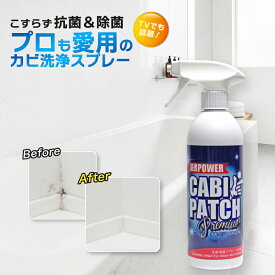 カビ取り剤 カビパッチ プレミアム 500g 低臭 強力浸透 浸透カ 外壁 木材 浴室 風呂 洗面台 黒カビ コケ 藻汚れ こすらず強力除去 抗菌ケア プロも愛用 カビ取りスプレー プロ仕様 大掃除 年末年始 実家 最強 業務用 セット