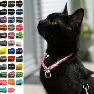 y35F2FZNg/I[_[Chz3/32p/pR[h`[N/^/L/Rp/jRp/n[t`[N/p `[N/pV[gR[h//8mm/V/y/plb