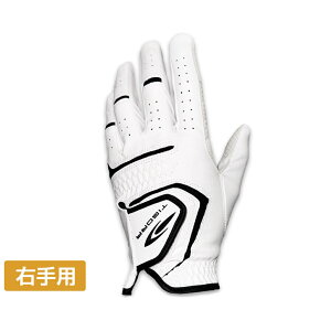 eBS StO[u E TR-1G1434R tBbgƃObv͂𗼗 Y TIGORA